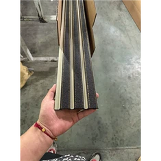 Krāsains Ps sienas panelis